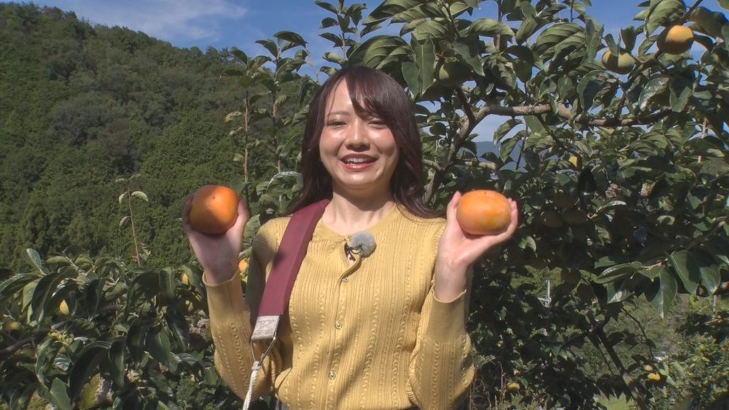 2023年10月27日放送　生産量 日本一！ 和歌山の柿