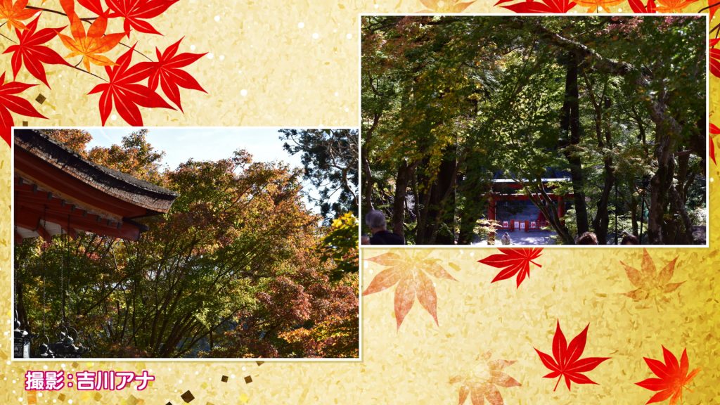 吉川アナ撮影！談山神社の紅葉