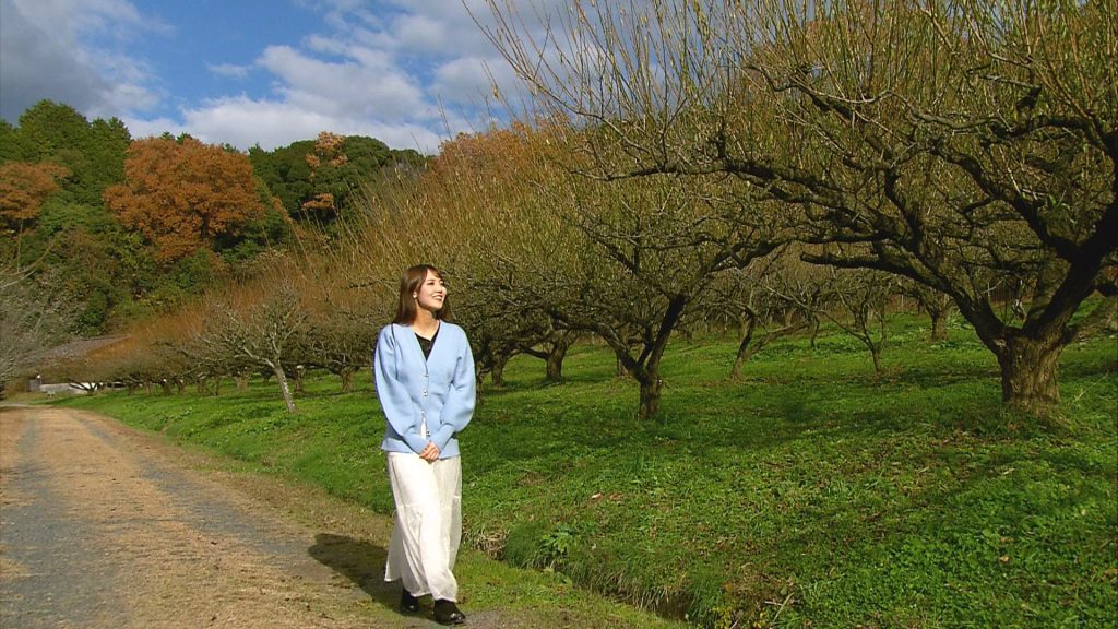 叶 匠壽庵　寿長生の郷