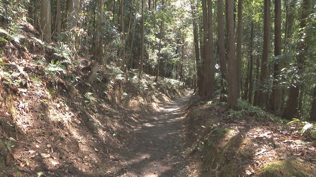 山の辺の道に沿って古墳や史跡が広がっていて歴史ロマンを感じながら歩ける。