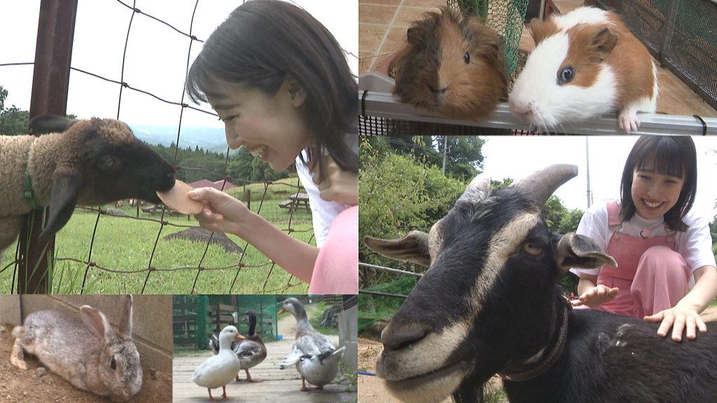 アニマルふれあい巡り－奈良・山添村－