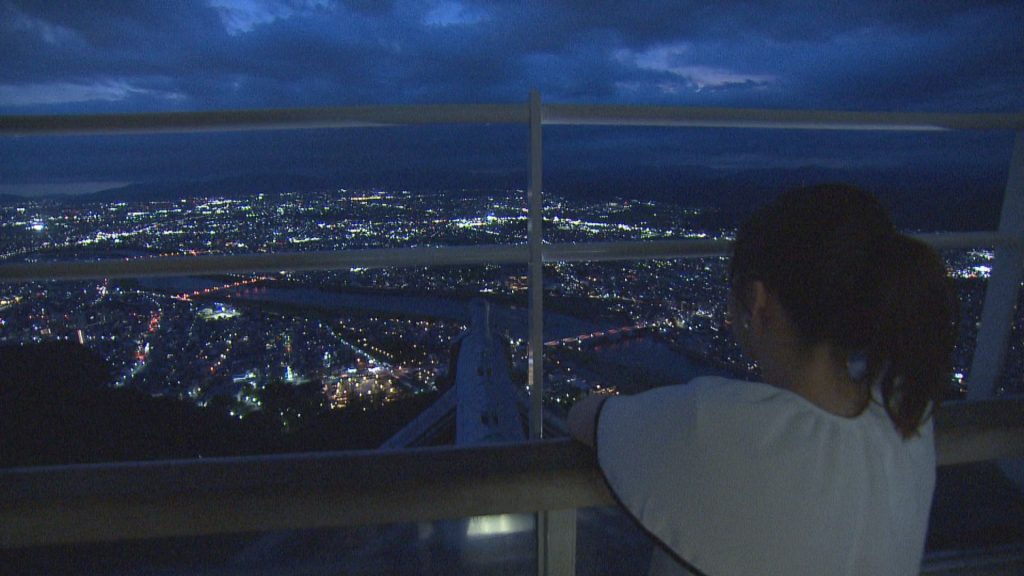 岐阜城から眺める夜景
