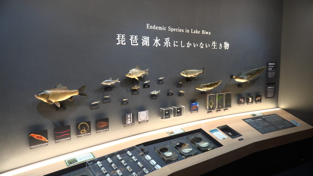 滋賀県立琵琶湖博物館