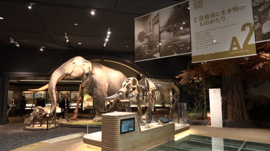 滋賀県立琵琶湖博物館