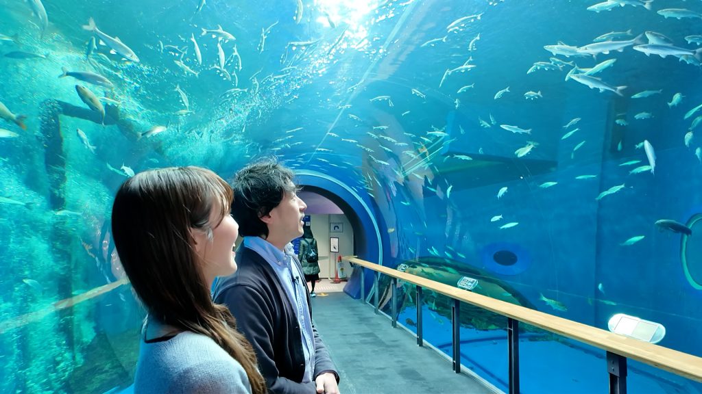 【滋賀】開館30周年！「琵琶湖博物館」ナイトミュージアムで幻想的な体験